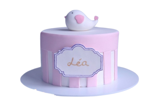 Gâteau Petit Oiseau
