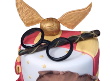 Gâteau Harry Potter