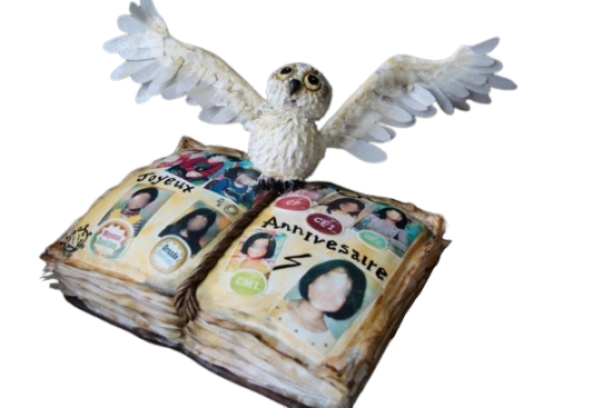 Gâteau Grimoire Harry Potter