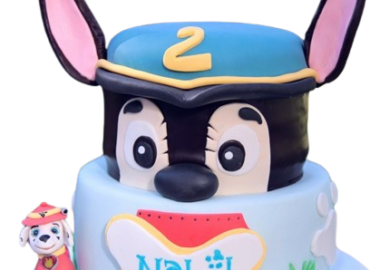 Gâteau Pat Patrouille