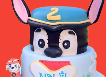 Anniversaire Enfant