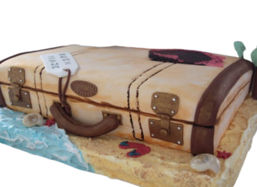 Gâteau Valise